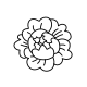 Minimalist peony fine line tattoo design